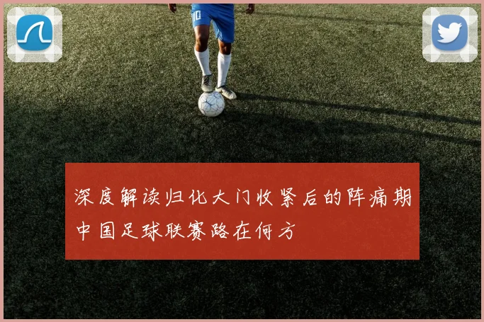 深度解读归化大门收紧后的阵痛期中国足球联赛路在何方